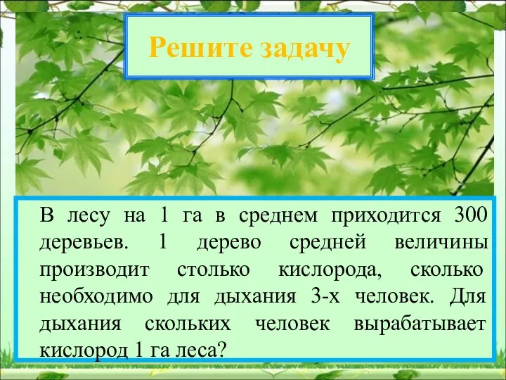 Решите задачу В лесу на 1 га в среднем приходится