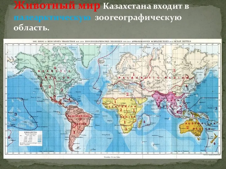 Животный мир Казахстана входит в палеарктическую зоогеографическую область.