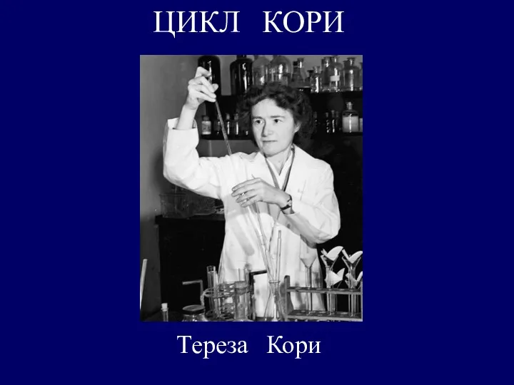 Тереза Кори ЦИКЛ КОРИ