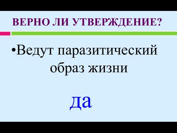 Ведут паразитический образ жизни да ВЕРНО ЛИ УТВЕРЖДЕНИЕ?