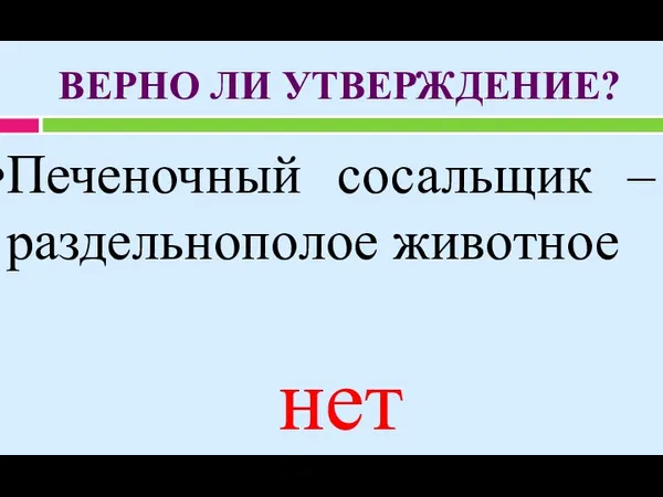 ВЕРНО ЛИ УТВЕРЖДЕНИЕ? Печеночный сосальщик – раздельнополое животное нет