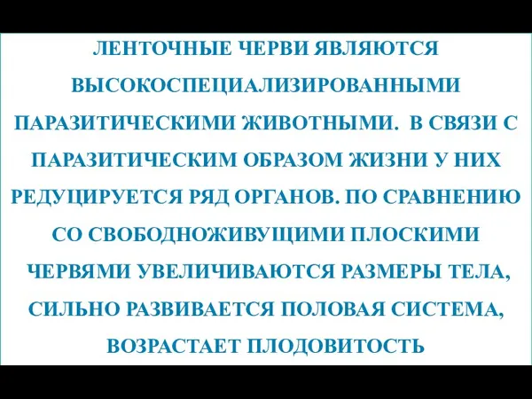 ЛЕНТОЧНЫЕ ЧЕРВИ ЯВЛЯЮТСЯ ВЫСОКОСПЕЦИАЛИЗИРОВАННЫМИ ПАРАЗИТИЧЕСКИМИ ЖИВОТНЫМИ. В СВЯЗИ С ПАРАЗИТИЧЕСКИМ