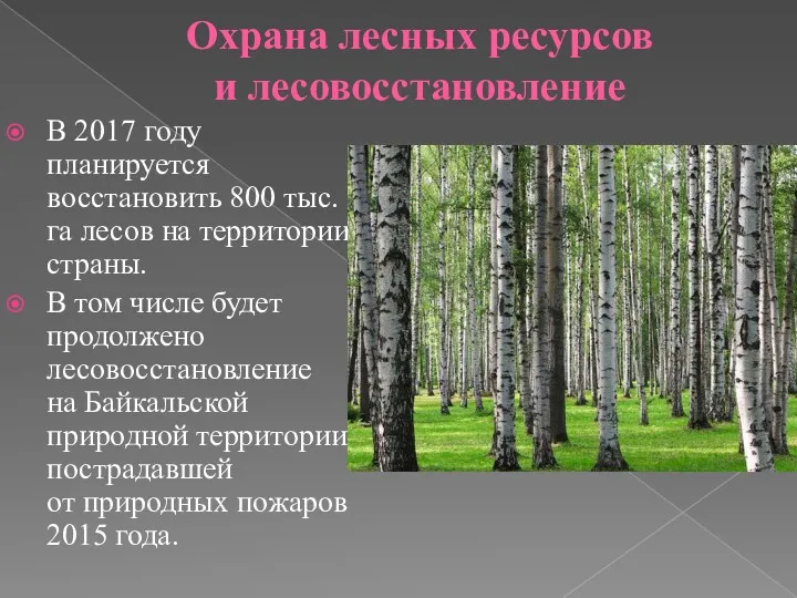 Охрана лесных ресурсов и лесовосстановление В 2017 году планируется восстановить