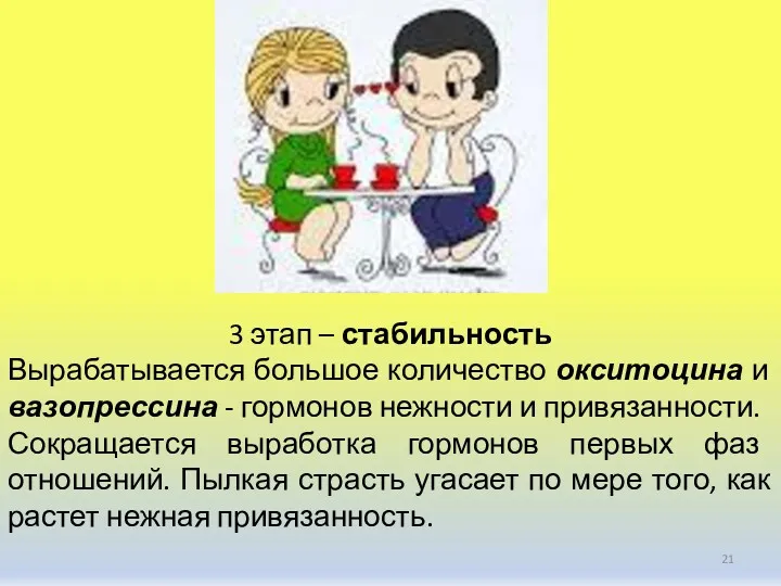 3 этап – стабильность Вырабатывается большое количество окситоцина и вазопрессина