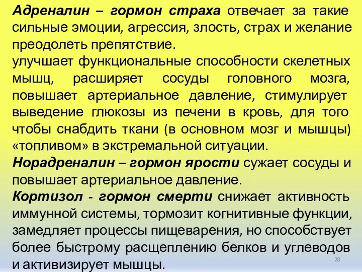 Адреналин – гормон страха отвечает за такие сильные эмоции, агрессия,