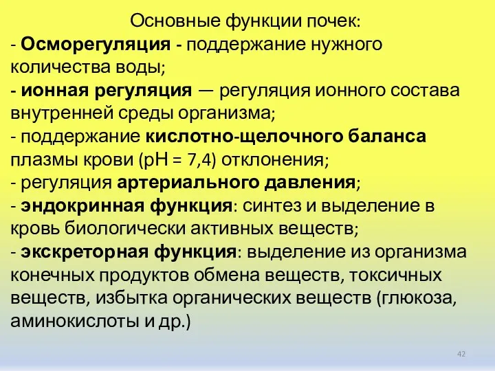 Основные функции почек: - Осморегуляция - поддержание нужного количества воды;