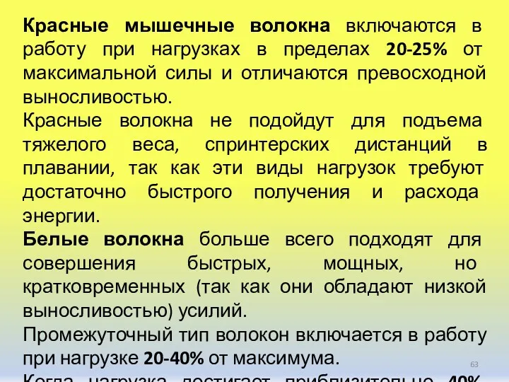 Красные мышечные волокна включаются в работу при нагрузках в пределах