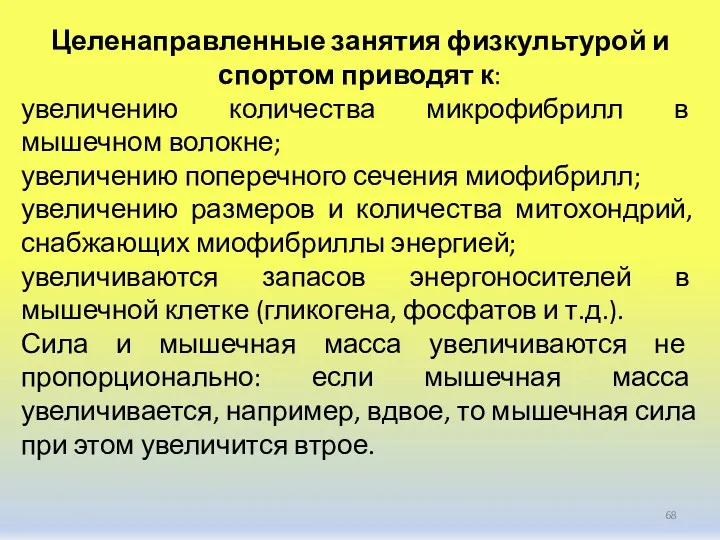 Целенаправленные занятия физкультурой и спортом приводят к: увеличению количества микрофибрилл