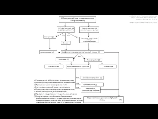 A. Ajlan, L. Recht — Supratentorial Low-Grade Diffuse Astrocytoma: Medical Management, Seminars in