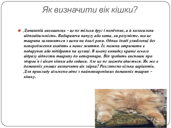 Як визначити вік кішки? Домашній вихованець - це не тільки