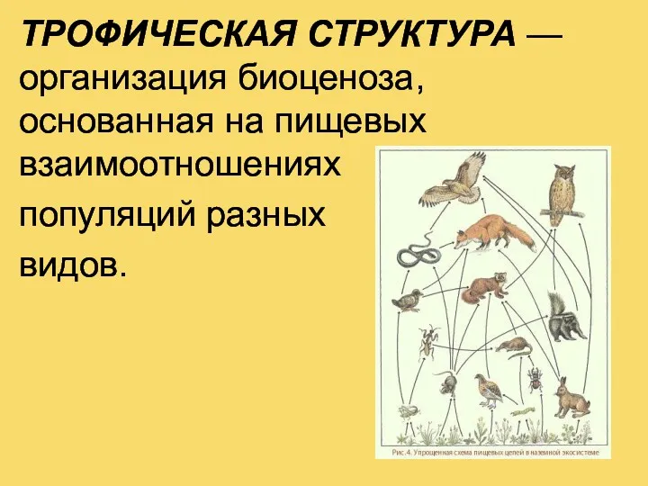 ТРОФИЧЕСКАЯ СТРУКТУРА — организация биоценоза, основанная на пищевых взаимоотношениях популяций разных видов.