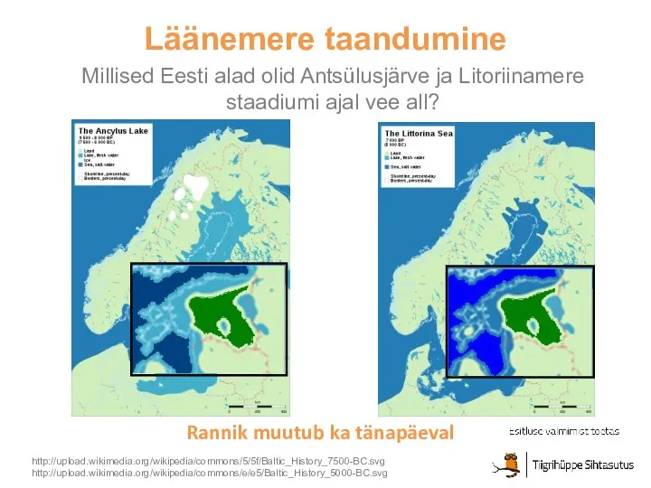 Läänemere taandumine Millised Eesti alad olid Antsülusjärve ja Litoriinamere staadiumi ajal vee all?