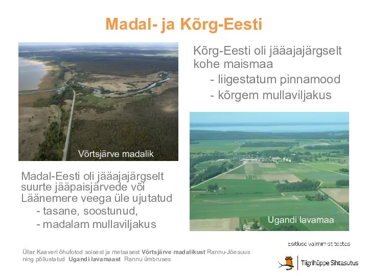 Madal- ja Kõrg-Eesti Üllar Kaaveri õhufotod soisest ja metsasest Võrtsjärve