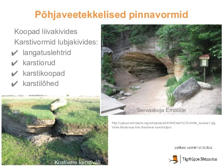 Põhjaveetekkelised pinnavormid http://upload.wikimedia.org/wikipedia/et/4/49/Emal%C3%A4tte_koobas1.jpg Vaike Rootsmaa foto Kostivere karstiväljast Koopad liivakivides