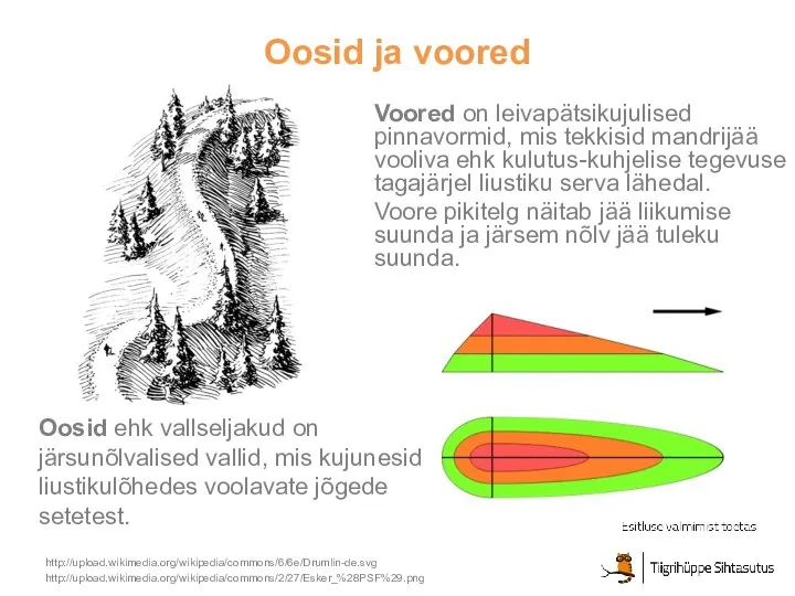 Oosid ja voored Voored on leivapätsikujulised pinnavormid, mis tekkisid mandrijää vooliva ehk kulutus-kuhjelise