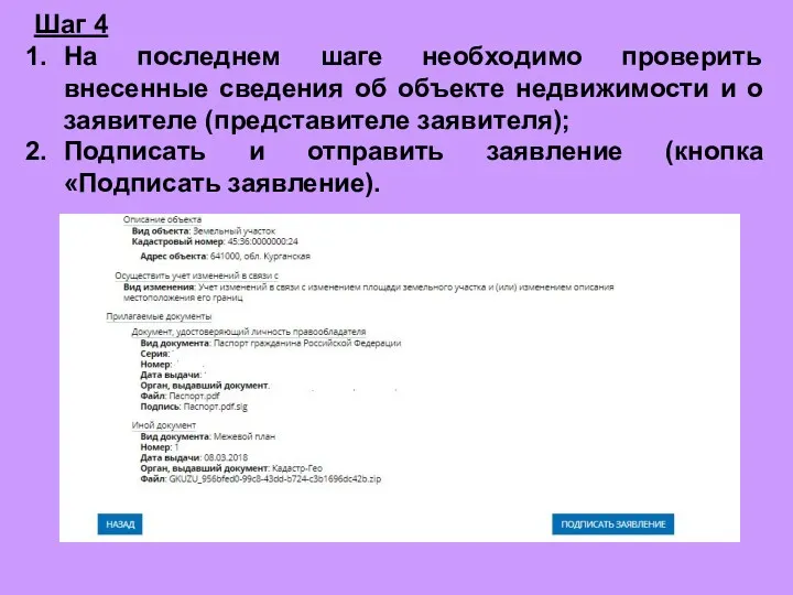 Шаг 4 На последнем шаге необходимо проверить внесенные сведения об