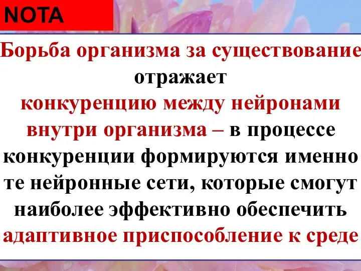 NOTA BENE Борьба организма за существование отражает конкуренцию между нейронами