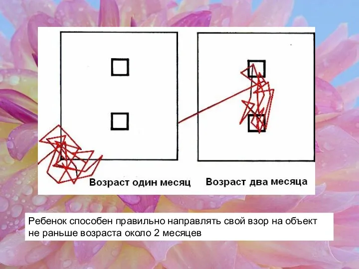 Ребенок способен правильно направлять свой взор на объект не раньше возраста около 2 месяцев