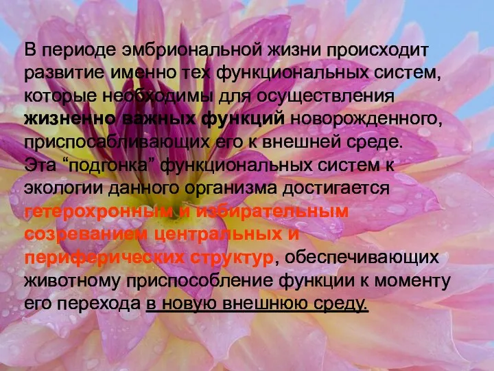 В периоде эмбриональной жизни происходит развитие именно тех функциональных систем,