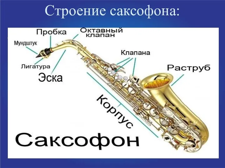 Строение саксофона: