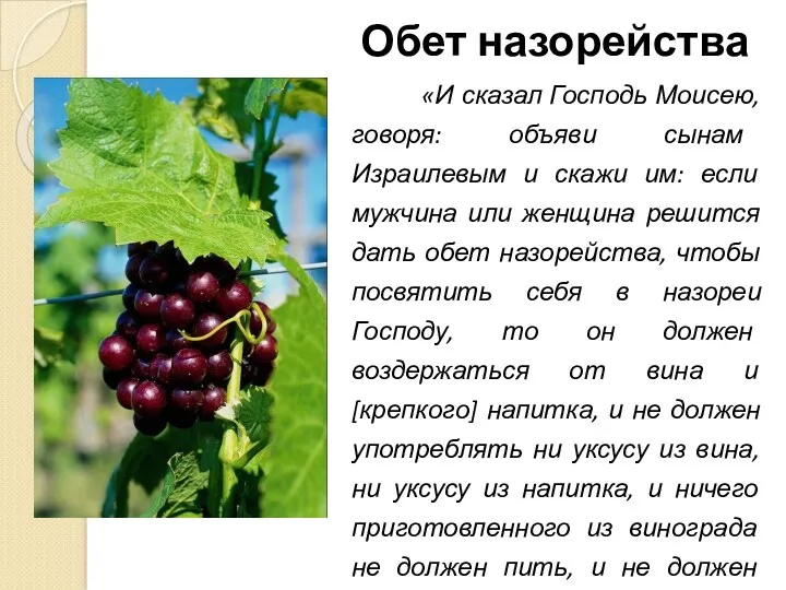 Обет назорейства «И сказал Господь Моисею, говоря: объяви сынам Израилевым