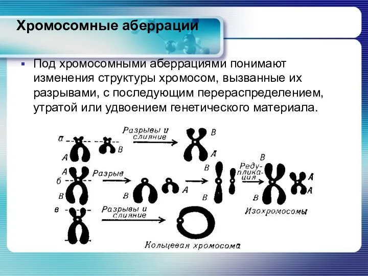 Хромосомные аберрации Под хромосомными аберрациями понимают изменения структуры хромосом, вызванные