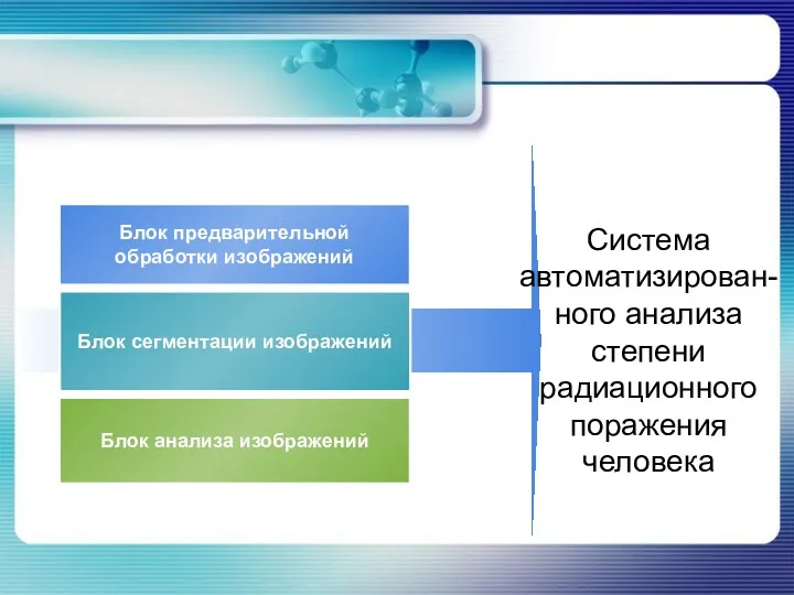 Блок предварительной обработки изображений Блок сегментации изображений Блок анализа изображений