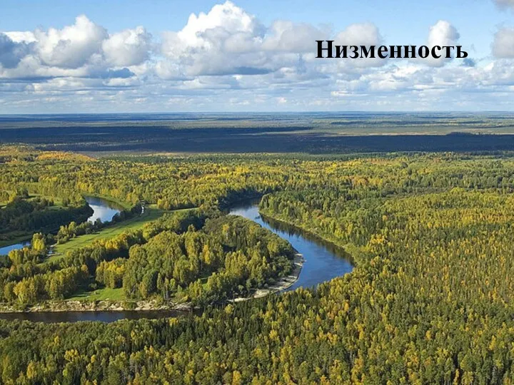 Низменность