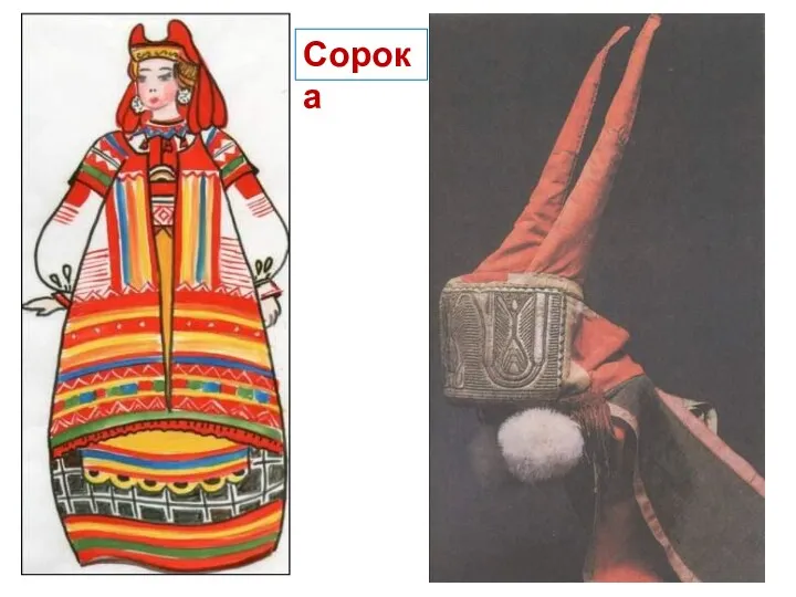 Сорока