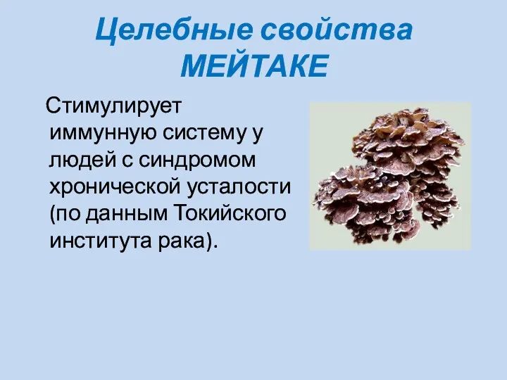 Целебные свойства МЕЙТАКЕ Стимулирует иммунную систему у людей с синдромом