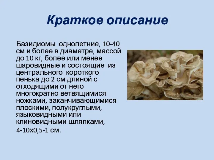 Краткое описание Базидиомы однолетние, 10-40 см и более в диаметре,