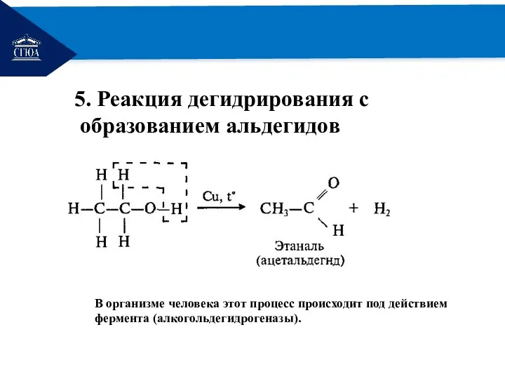 РЕМОНТ 5. Реакция дегидрирования с образованием альдегидов В организме человека