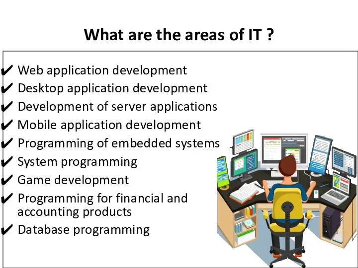What are the areas of IT ? Web application development