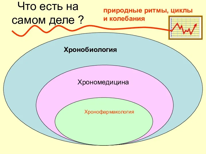 Что есть на самом деле ? Хронобиология Хрономедицина Хронофармакология природные ритмы, циклы и колебания