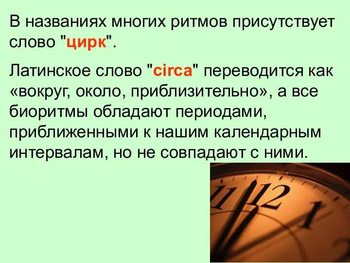 В названиях многих ритмов присутствует слово "цирк". Латинское слово "circa"