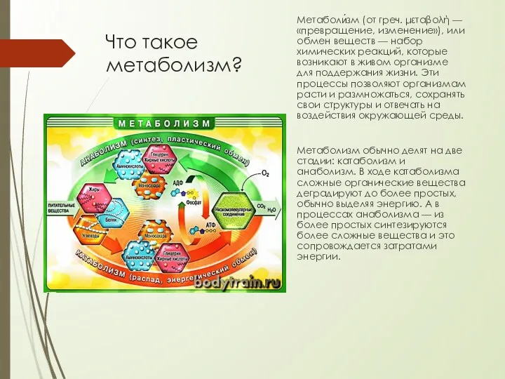 Что такое метаболизм? Метаболи́зм (от греч. μεταβολή — «превращение, изменение»),