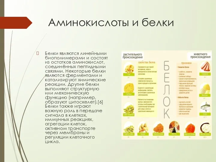 Аминокислоты и белки Белки являются линейными биополимерами и состоят из