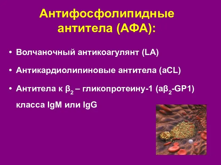 Антифосфолипидные антитела (АФА): Волчаночный антикоагулянт (LA) Антикардиолипиновые антитела (aCL) Антитела к β2 –