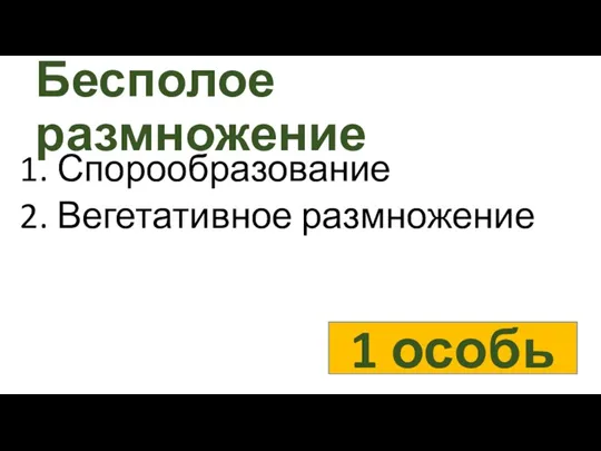 Бесполое размножение 1. Спорообразование 2. Вегетативное размножение 1 особь