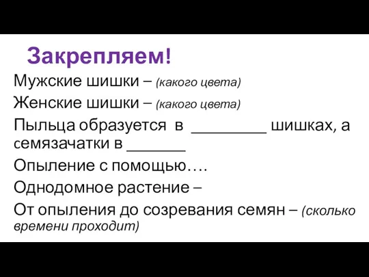 Закрепляем! Мужские шишки – (какого цвета) Женские шишки – (какого цвета) Пыльца образуется