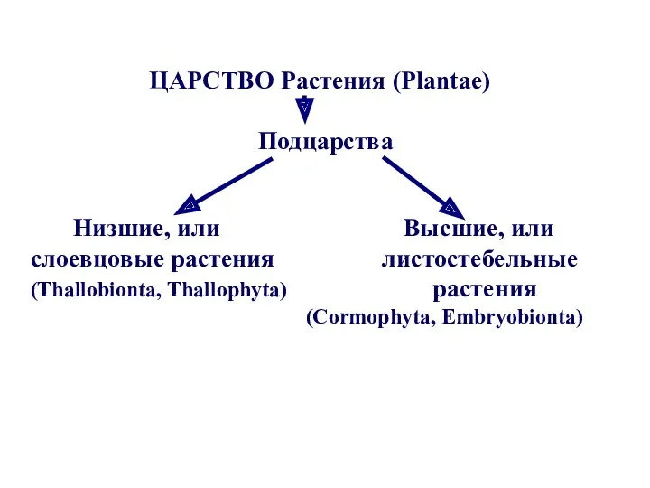 ЦАРСТВО Растения (Plantae) Подцарства Низшие, или Высшие, или слоевцовые растения листостебельные (Thallobionta, Thallophyta) растения (Cormophyta, Еmbryobionta)