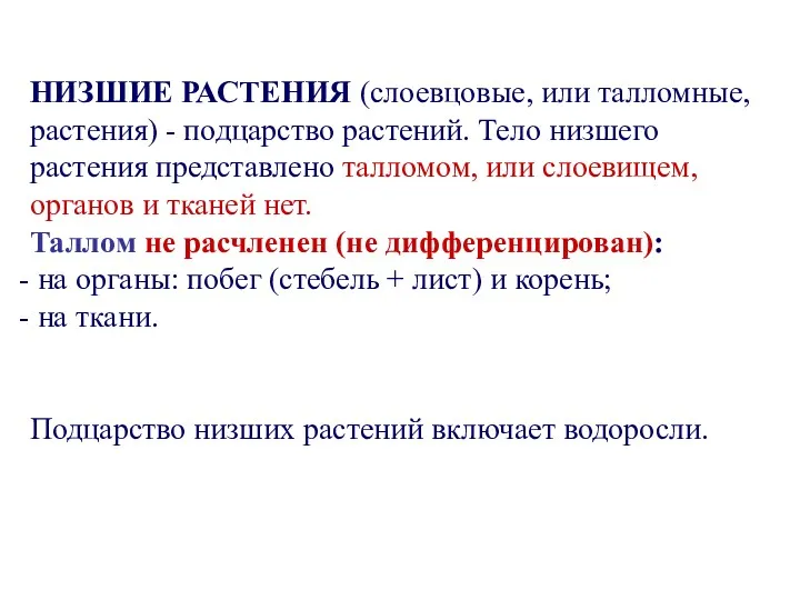 НИЗШИЕ РАСТЕНИЯ (слоевцовые, или талломные, растения) - подцарство растений. Тело