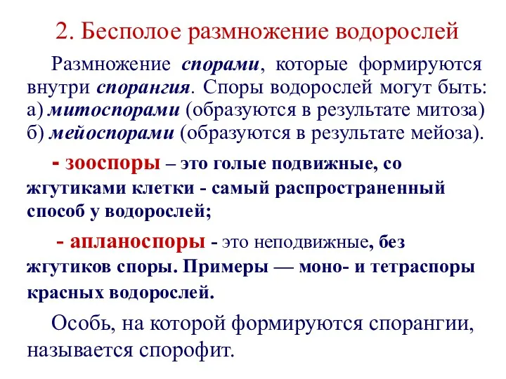 2. Бесполое размножение водорослей Размножение спорами, которые формируются внутри спорангия.