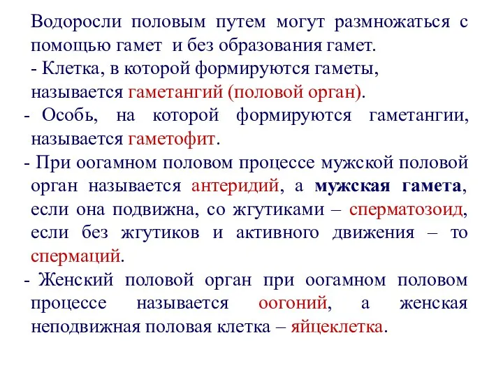 Водоросли половым путем могут размножаться с помощью гамет и без