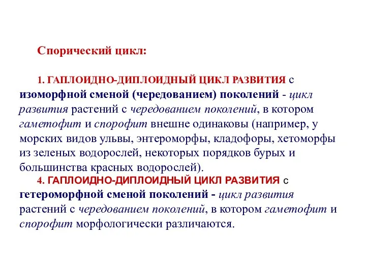 Спорический цикл: 1. ГАПЛОИДНО-ДИПЛОИДНЫЙ ЦИКЛ РАЗВИТИЯ с изоморфной сменой (чередованием)