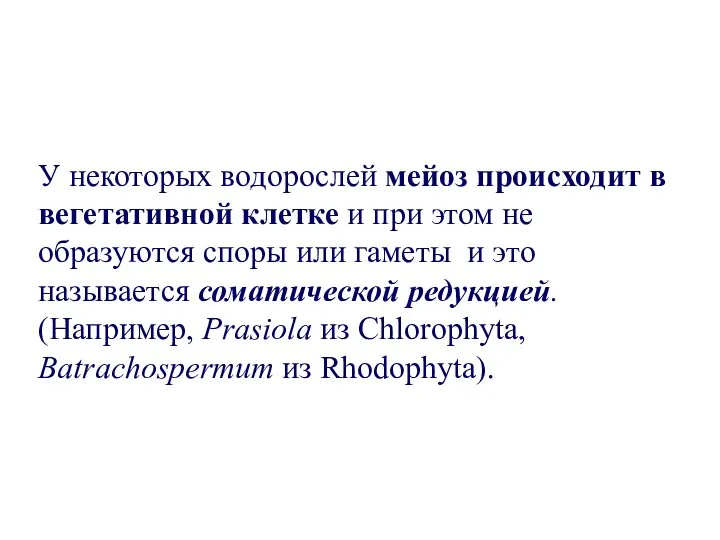 У некоторых водорослей мейоз происходит в вегетативной клетке и при