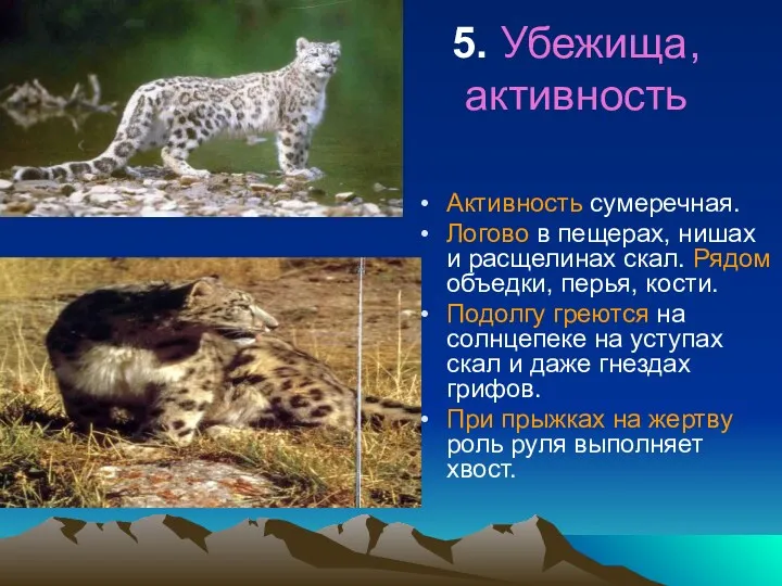 5. Убежища, активность Активность сумеречная. Логово в пещерах, нишах и