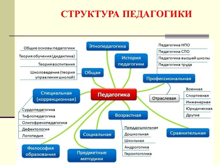 СТРУКТУРА ПЕДАГОГИКИ