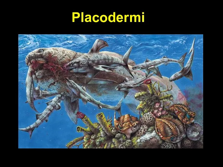 Placodermi