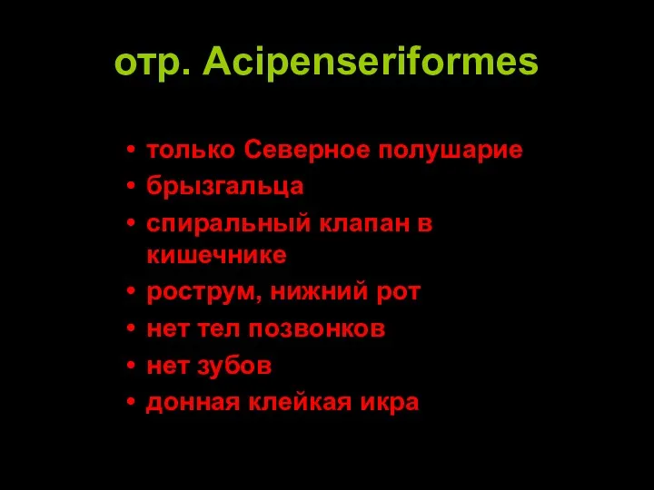 отр. Acipenseriformes только Северное полушарие брызгальца спиральный клапан в кишечнике рострум, нижний рот